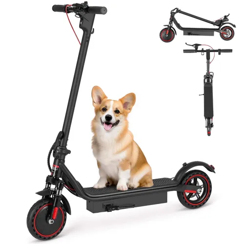 Electric Scooter- Bridge Tour