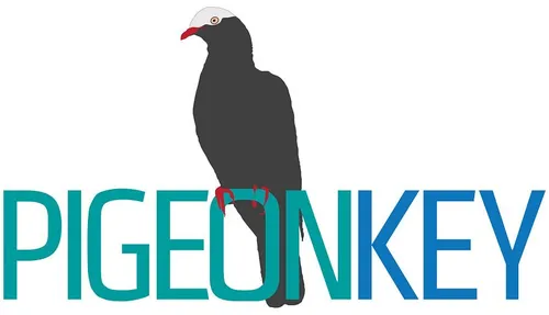 Electric Scooter- Pigeon Key 