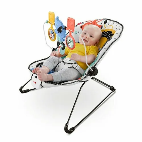 Fisher-Price Deluxe Bouncer: Signature Style