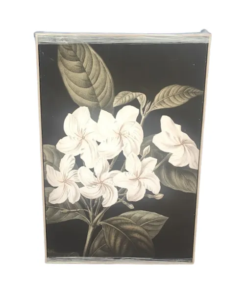 AW 4322 - Artwork - Large - Botanical Water Colour Canvas in Blonde Frame