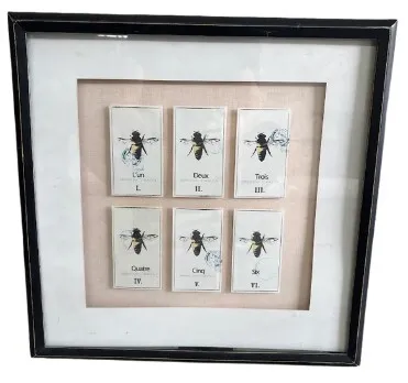 AW 7028 - Artwork - Small - Framed 6 Bees 