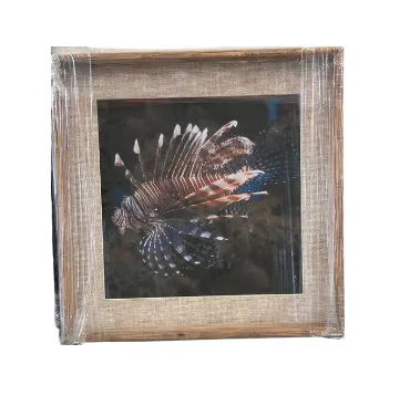AW 8196 - Lion Fish Print in Small Glass Framed Artwork