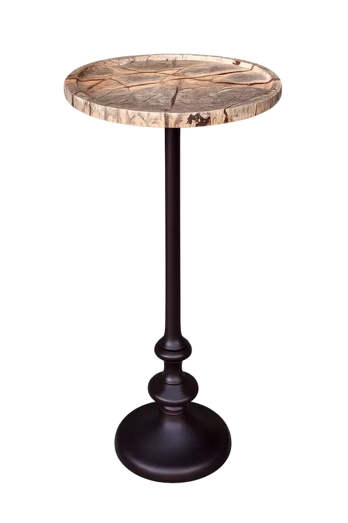 ST 0063 - Side Table - Petrified Wood Top with Dark bronze-finished base