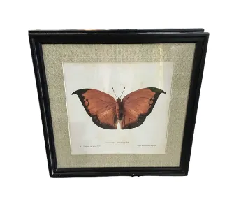 AW 7824 - Red Butterfly Artwork with Linen Background & Small Bulk Frame