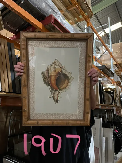 AW 1907 - Sea Shell on White Background with Fabric Border & Bamboo Frame - Small Artwork