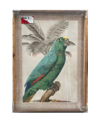 AW 4378A - Parrot Print in Small Bamboo Framed Glass Artwork 