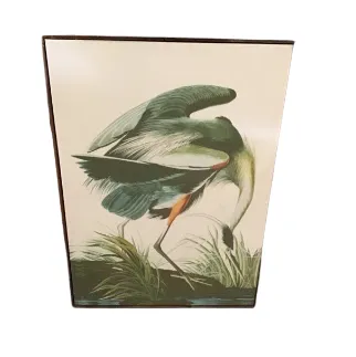  AW 4231 - Artwork - Large - Canvas Green & Yellow Stork with White Background