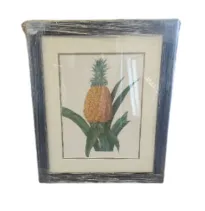 AW 8144 - Pineapple in Small Dark Wood Frame Artwork