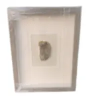 AW 4520 - Gem Encased in Small Glass Frame