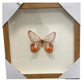 AW 0030 - Small Artwork with Butterfly