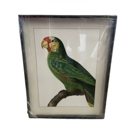 AW 1944 - Artwork - Medium - Left Facing Parrot Print in Dark Bamboo Frame