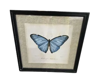 AW 7825 - Blue Butterfly Artwork with Linen Background & Small Bulk Frame
