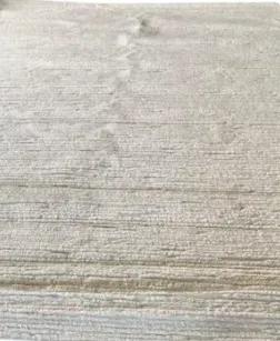 RG 0010 - Rug - Extra Large - Textured Beige