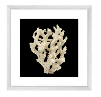 AW 7191 - White Coral Medium Artwork in Framed Glass