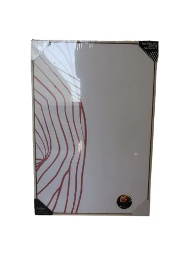 AW 0247 - Artwork - Medium - White & Pink Organic Lines on Light Ash Framed Canvas 