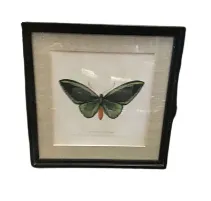 AW 0909 - Green Butterfly in Linen Border with Black Frame - Small Artwork