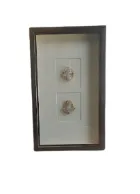AW 9038 - Gold Trim White Stone Pieces Encased in  Small Glass Artwork 