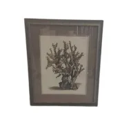 AW 8015 - Coral in Antique Glass Frame - Small Artwork