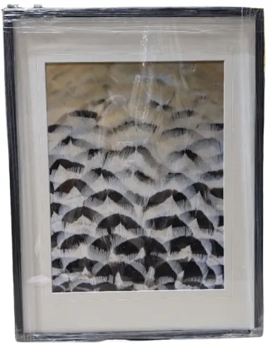 AW 0272 - Artwork - Medium - Black, White, and Grey Feather-like Textures