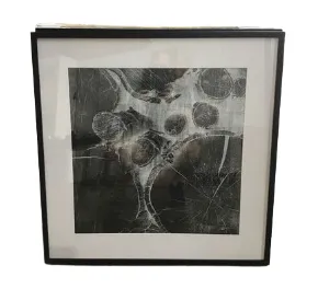 AW 1500 - Artwork - Medium - Framed Black & White Tree Root