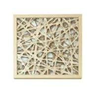 AW 6206 - Artwork - Medium - Organic Web in Acrylic Box 