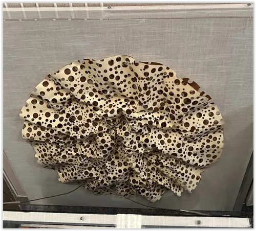 AW 4496 - Artwork - Medium - Leopard Print in Encased in Glass Timber Frame