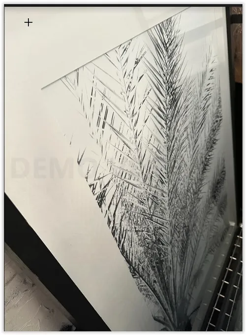 AW 1892 - Artwork - Large - California Native Black & White Palm