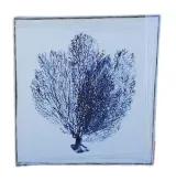 AW 4184 - Artwork - Medium - Blue Coral White Background Timber Frame 