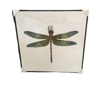 AW 4186 - Artwork - Medium - Dragonfly Canvas Print