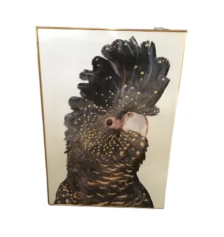 AW 4160 - Artwork - Extra Large - Black & Gold Parrot, White Background, Timber Frame