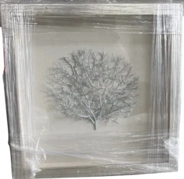 AW 0894 - Artwork - Small - Boxed Frame Silver Coral 
