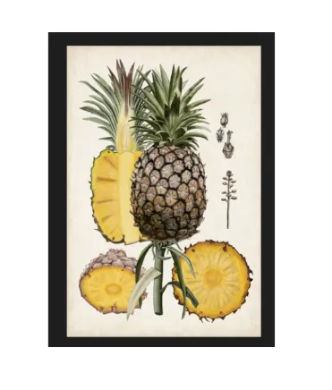 AW 4514 - Artwork - Medium - Pineapples White Framed Glass in Bamboo Look Frame