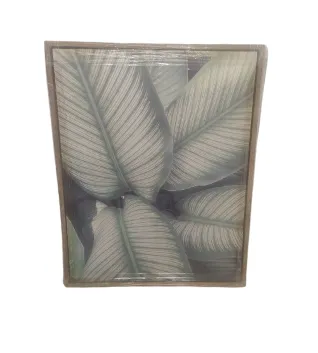 AW 7131 - Close up Leaves in Medium Natural Timber Frame Canvas