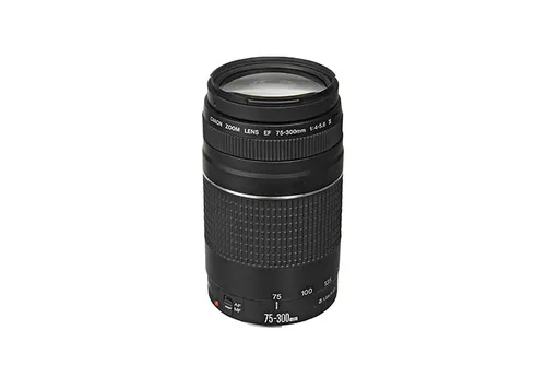 Canon Zoom Lens 75-300mm