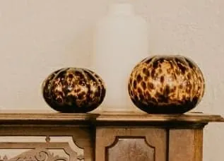 Tortoise Vases