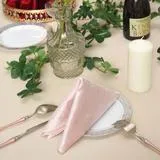 Blush Velvet Napkin