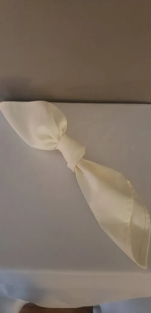 Ivory Napkins