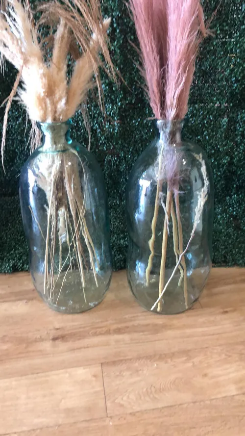 Extra Tall Glass Jugs