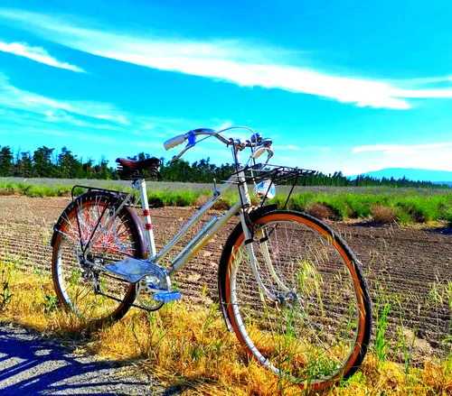 vélo vintage Dame années 50 taille M/L