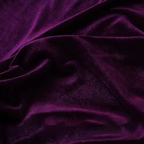 Dark Purple Velvet Drape