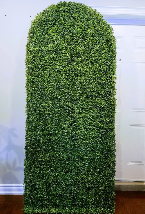 Green Panel Backdrop