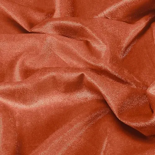 Burned Orange Velvet Drape