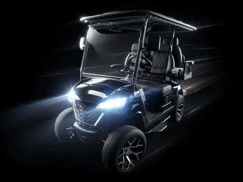 Long Term Golf Cart Rental (Over 30 Days)