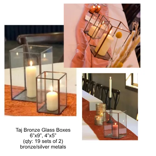 Taj Bronze Glass Boxes (set of 2)