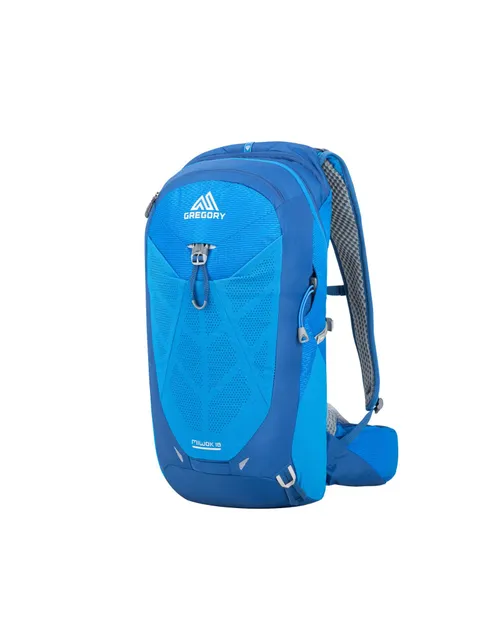Gregory Miwok 18 Litre Backpack 