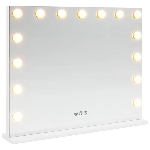 Dressing Room Mirror