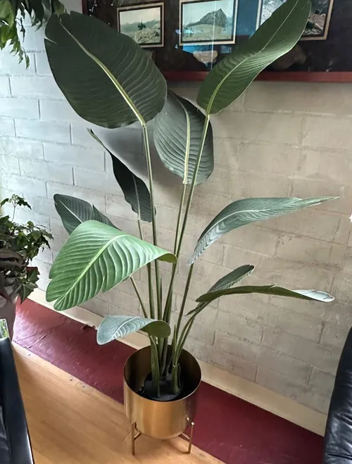 Fake Large Plant / Short Tree - 3' - 4'