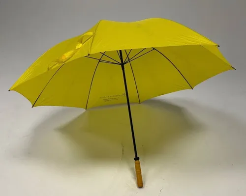 Yellow Umbrella 
