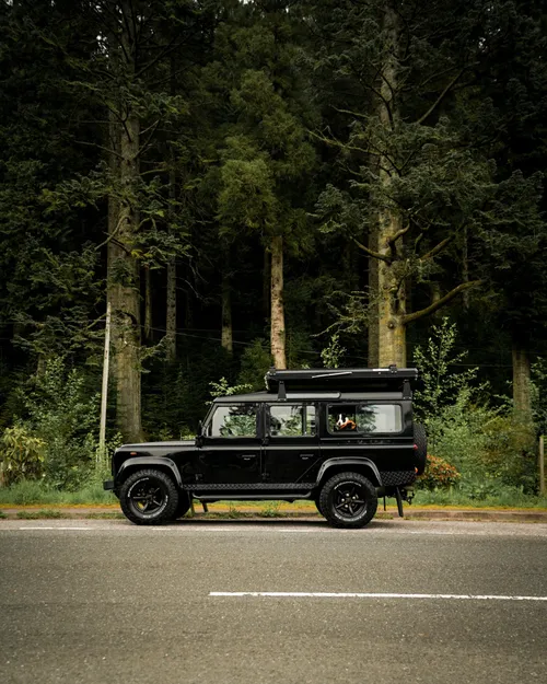 Defender 110 CSW