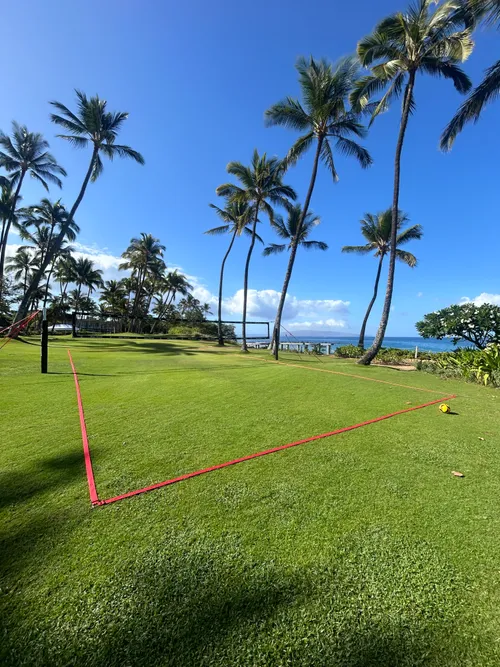 Full Sized Volleyball Court (Heavyweight - Maui)